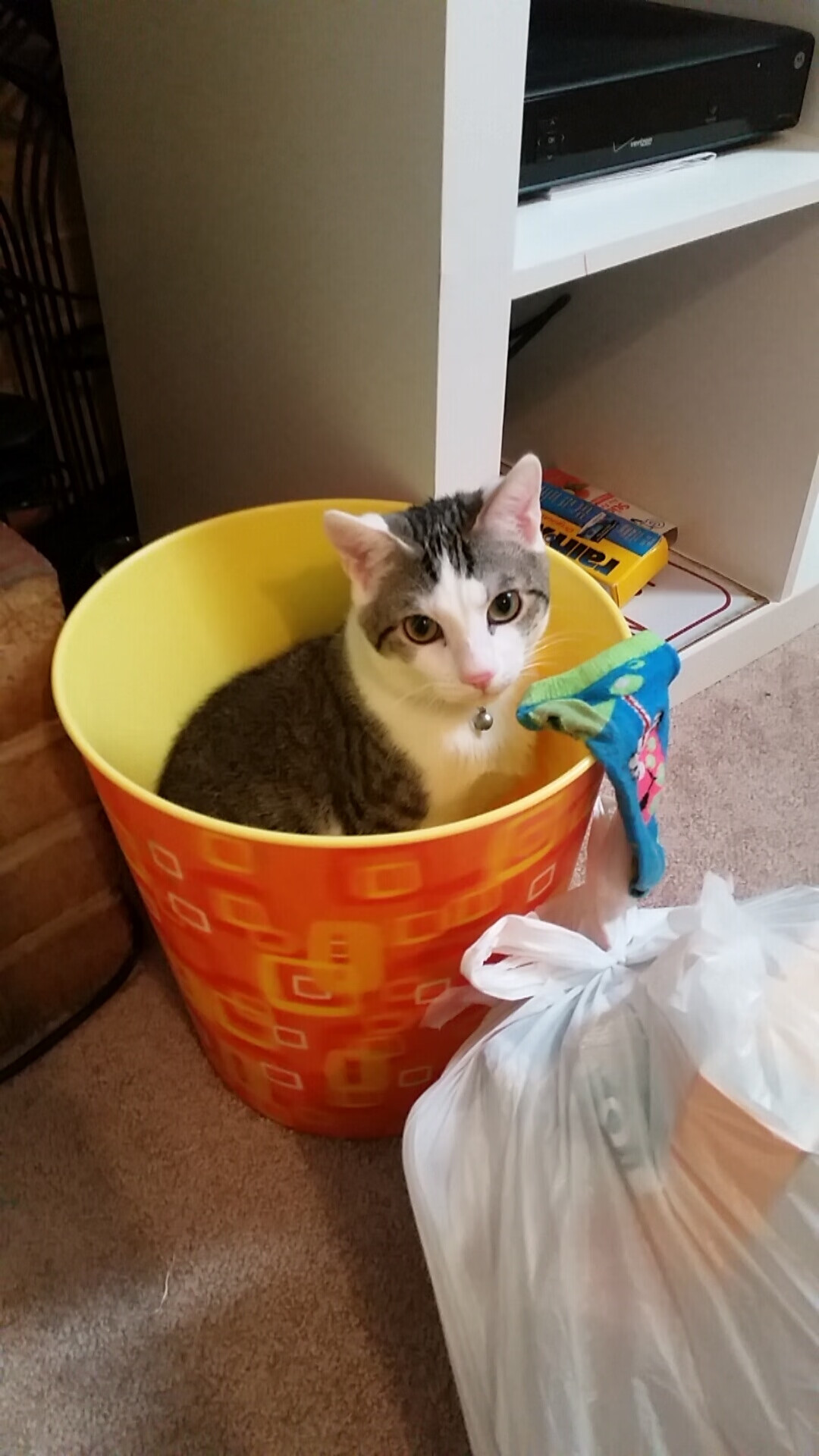 AI预测比赛走势，辅助观众理解精彩瞬间，ai预测比赛走势,辅助观众理解精彩瞬间的意思