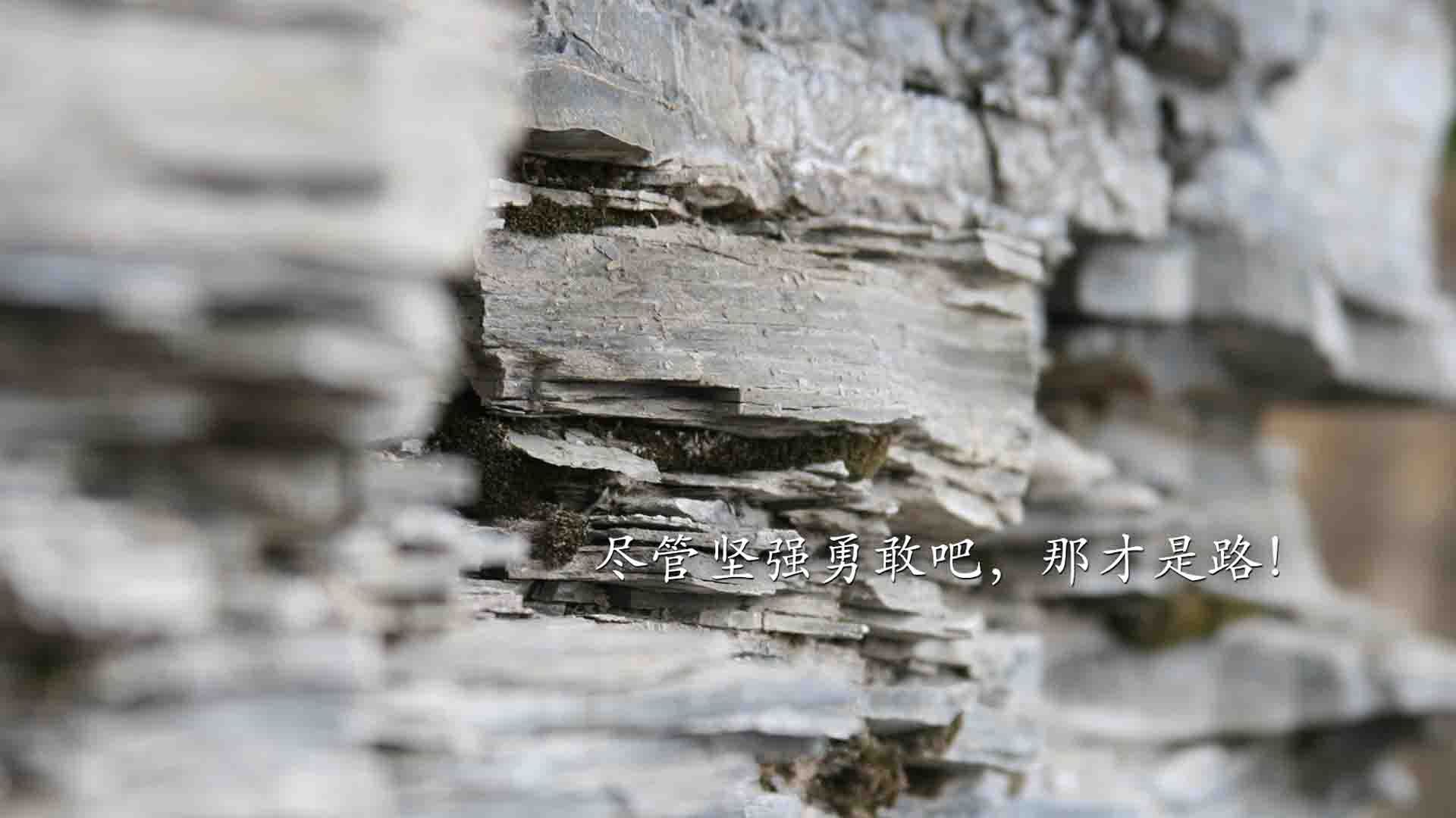 AI驱动战术分析：让比赛更激烈、观赏性更高的未来发展方向，ai的三大驱动