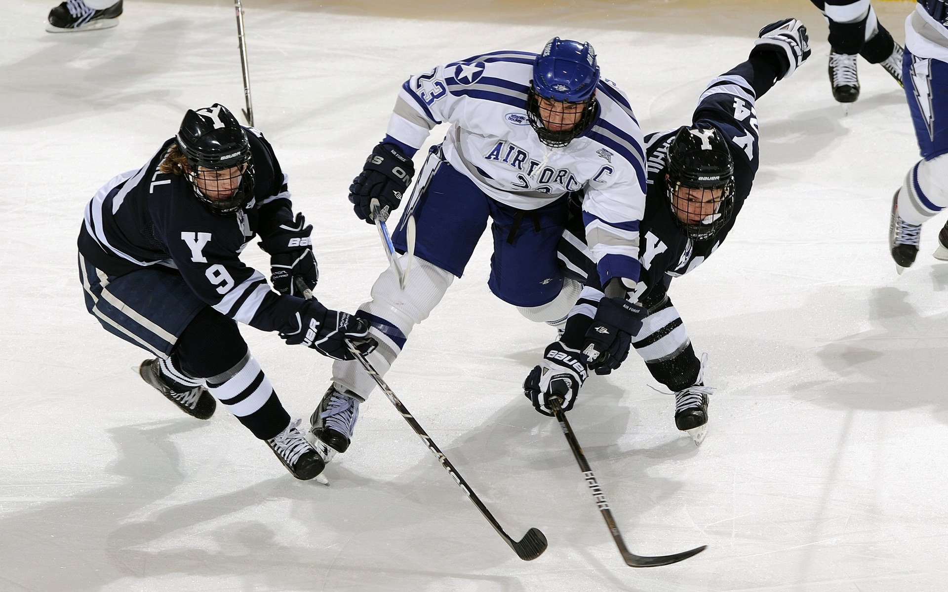 “诺克·达维德·彼得森:南非羚羊队的未来领军人物”